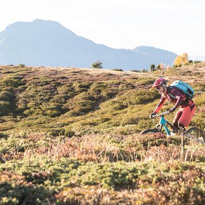 MTB in Lana und Umgebung