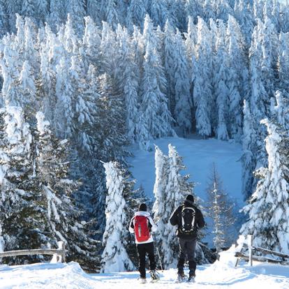 Winter Hikes in Parcines