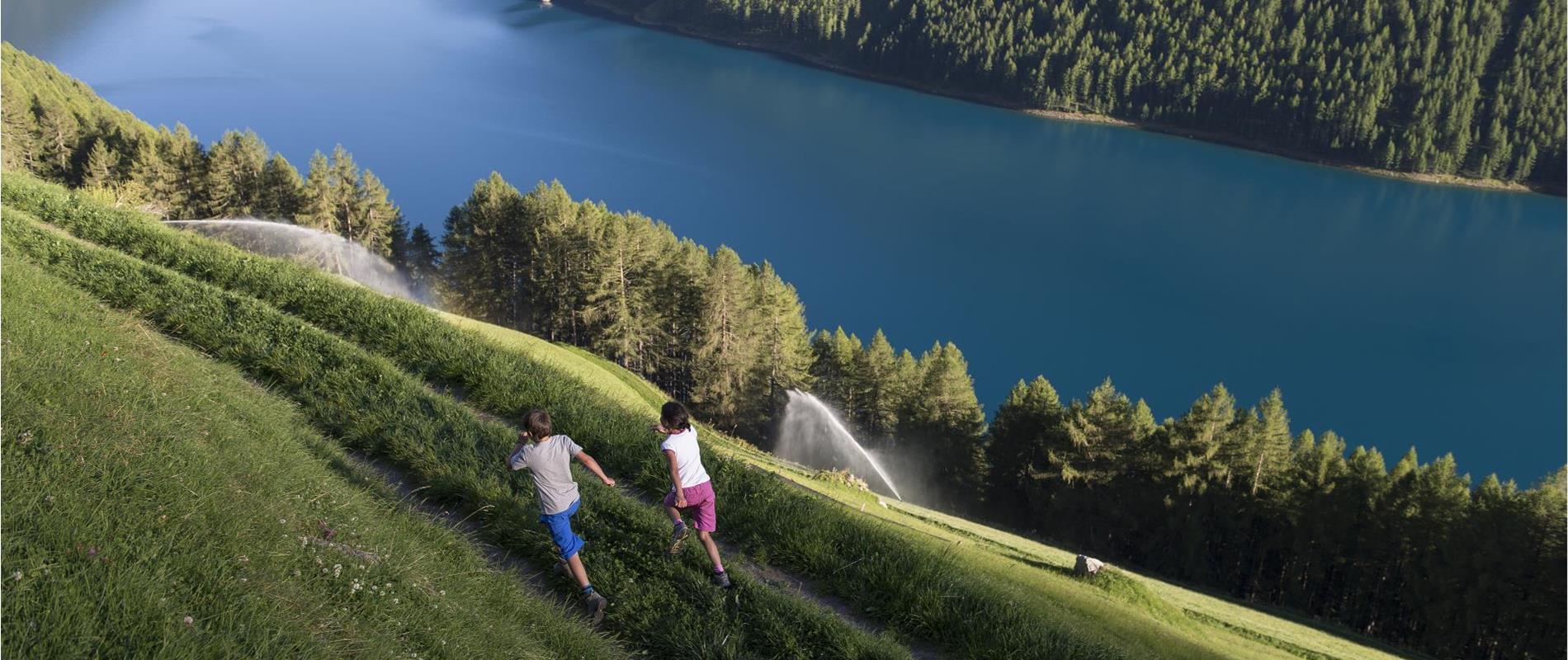 Wandern mit Kindern