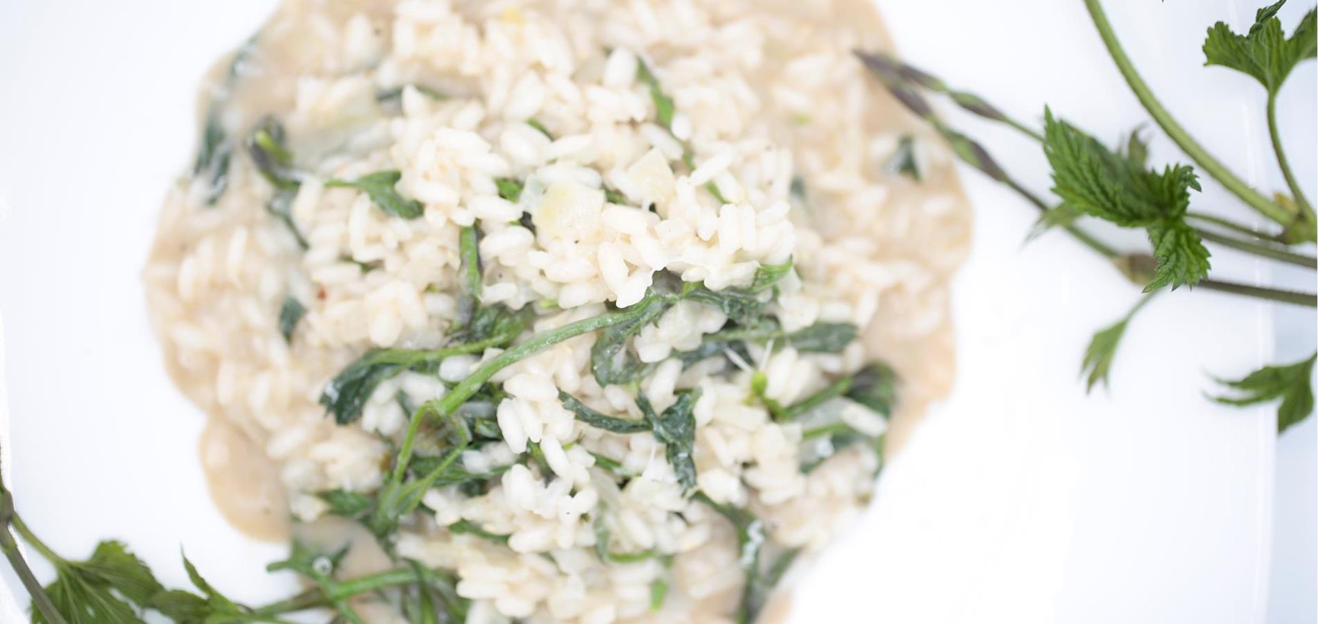 Risotto con i bruscandoli (luppolo selvatico)