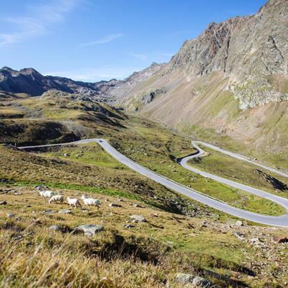 Experience and Advantage Cards in South Tyrol