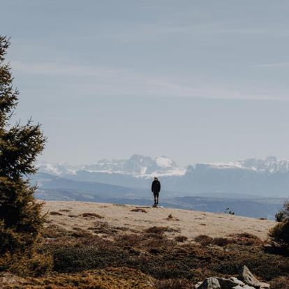 Wandergebiet Vigiljoch