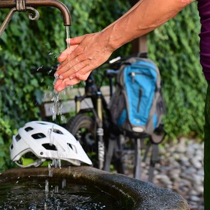 Bicycle Rental in Nalles