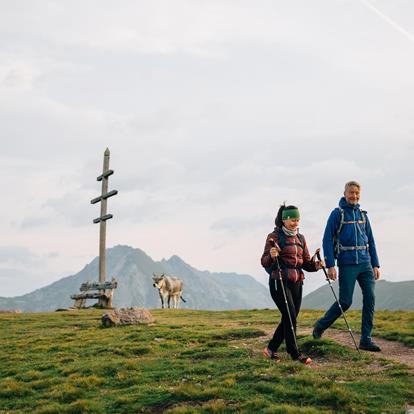 Hiking trails at Hafling-Vöran-Meran 2000