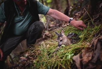 Species conservation in tourism
