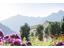 Sehenswuerdigkeit-Schloss-Trauttmansdorff-Hafling-Voeran-Meran2000-af