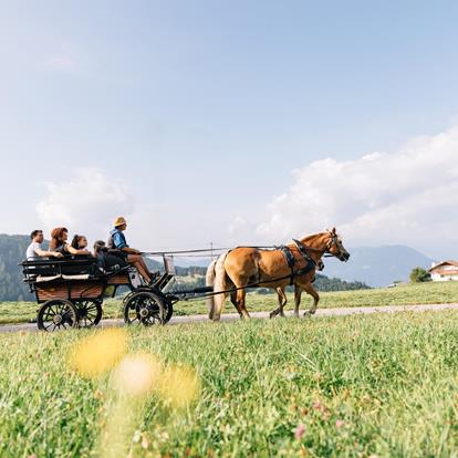 Gite in carrozza nell’Alto Adige: la magia ad Avelengo, Verano e Merano 2000