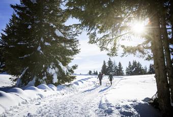 Wandern im Winter