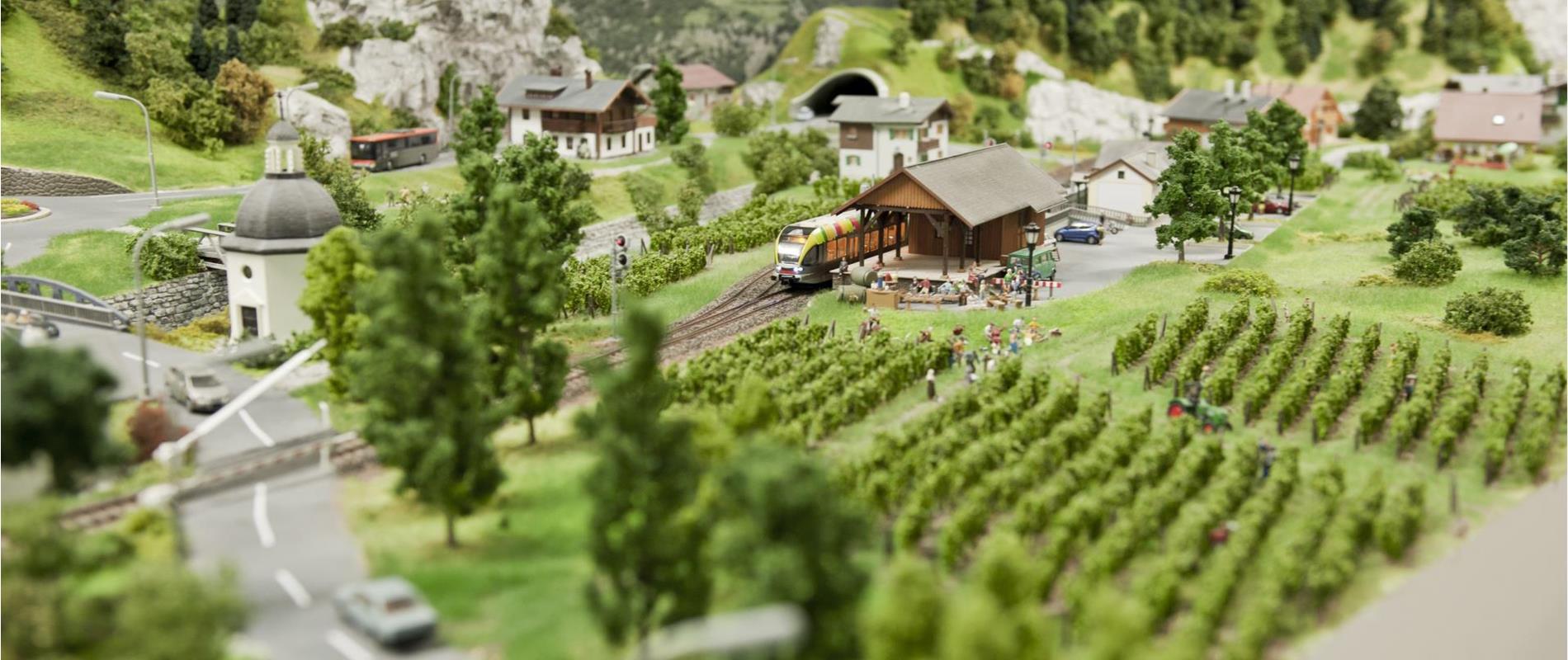 Musei a Merano e dintorni