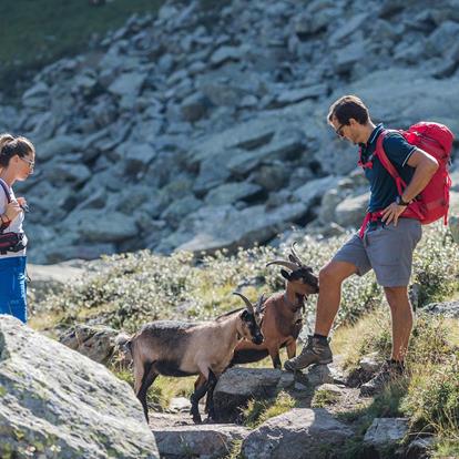 Tours in Tirolo