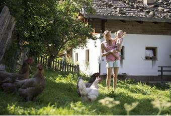 Urlaub auf dem Bauernhof