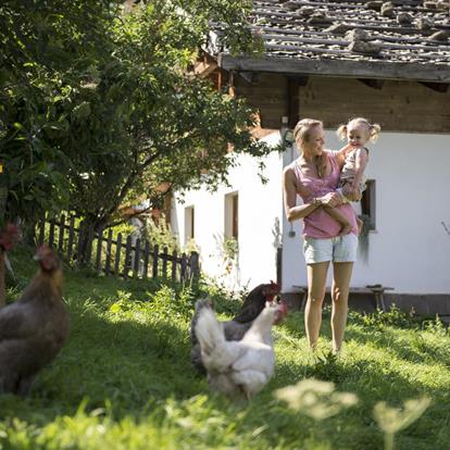 Urlaub auf dem Bauernhof