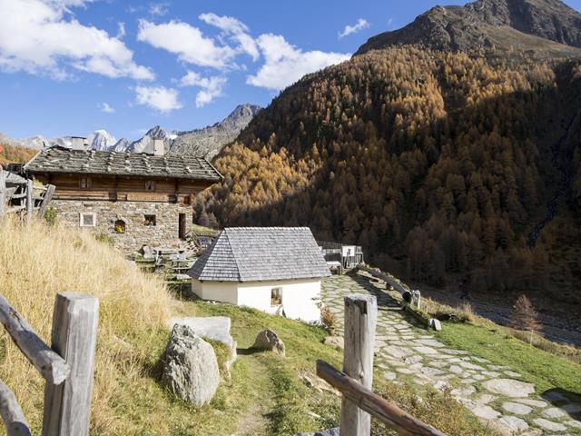 meraner-hoehenweg-pfossental-alm-tg-naturns-idm-suedtirol-alex-filz