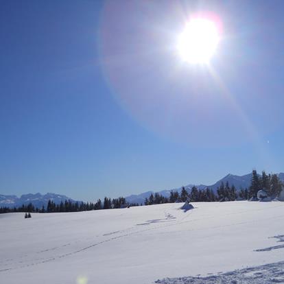 Ski Touring in the Deutschnonsberg Area