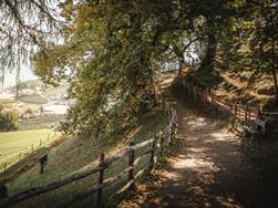 Der Sommer in der Region Lana
