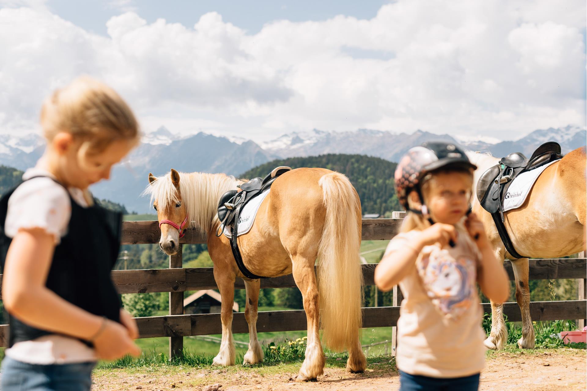 -tv-hafling-voeran-meran-2000-benjamin-pfitscher-2023-sommer-reiten-21