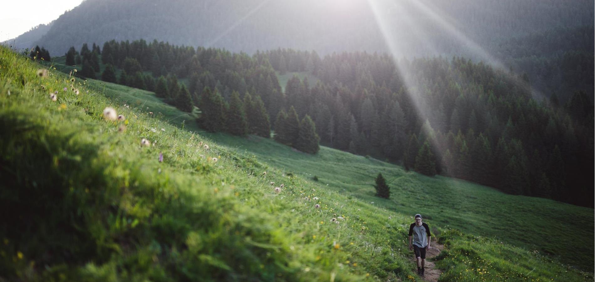 9 Dinge, die man im Sommer in Lana machen sollte