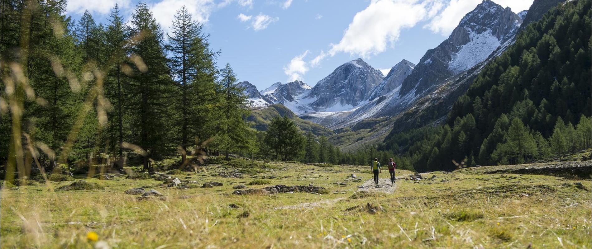 Hiking in the Schnalstal Valley