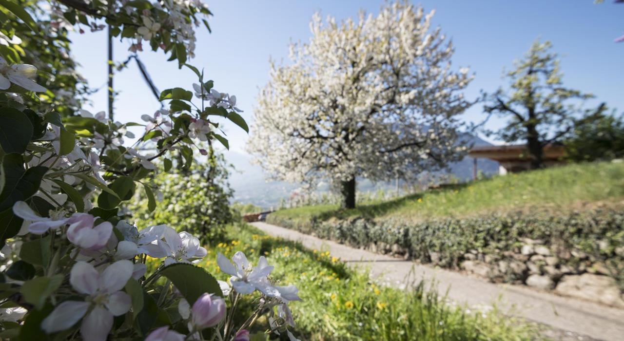 Home-Frühling-Wandern-Dorf-Tirol-af