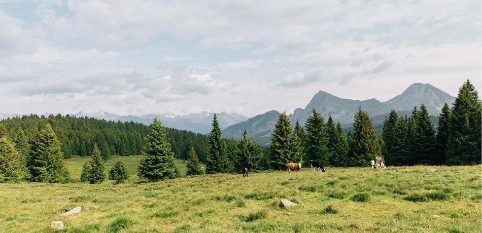 tv-hafling-voeran-meran-2000-benjamin-pfitscher-2023-sonnenaufgang-113