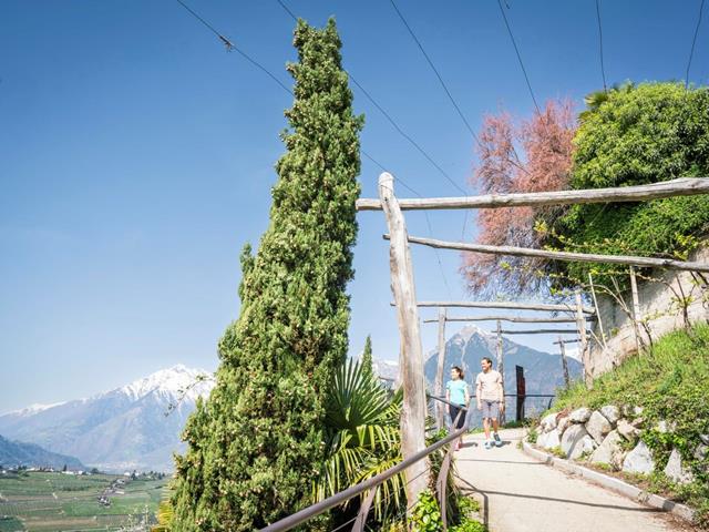 wandern-mitterplattweg-schenna-suedtirol-dd