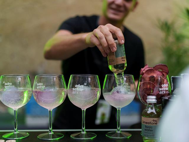 gin-festival-schenna-rg-10