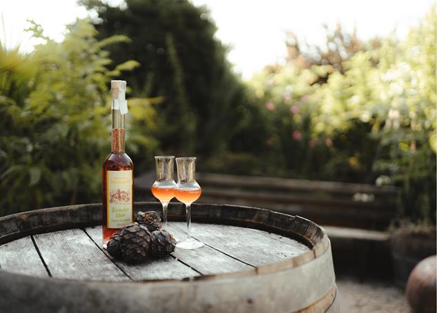 lanaregion-it-dominic-telser-reichneggerhof-11