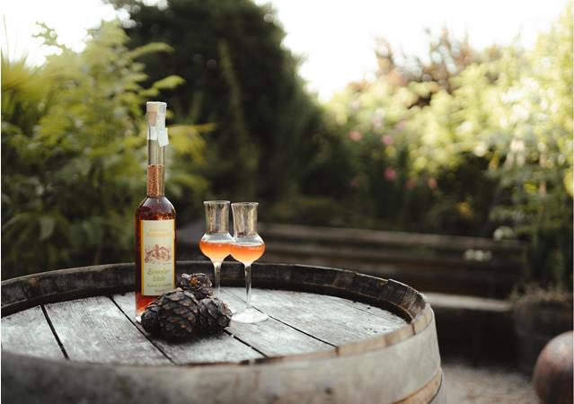 lanaregion-it-dominic-telser-reichneggerhof-11