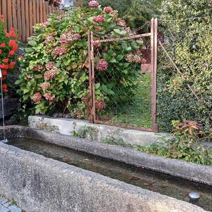 Acqua di sorgente di Parcines per la ricarica