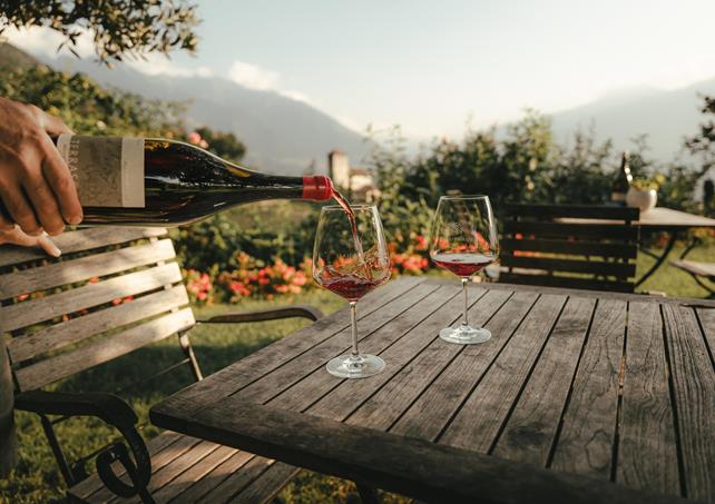 lanaregion-it-dominic-telser-haidenhof-7