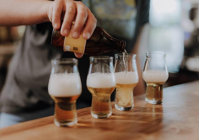 lanaregion-it-maike-wittreck-pfefferlechner-4