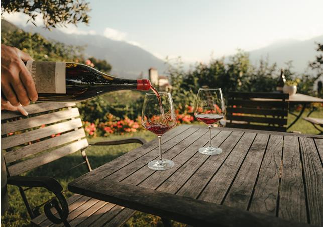 lanaregion-it-dominic-telser-haidenhof-7