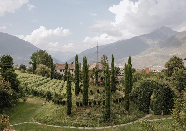 255-kra-nzelhof-2024-druckversion-emi-massmer-emotions-emim3958