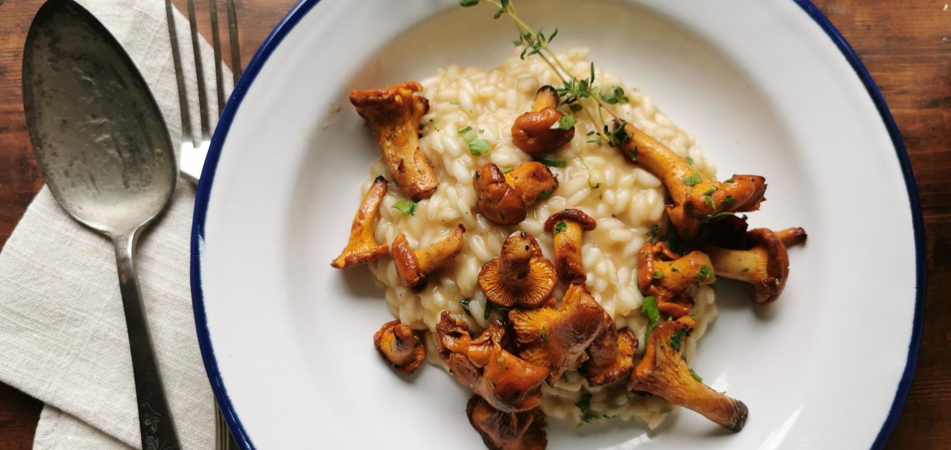 Risotto with chanterelles