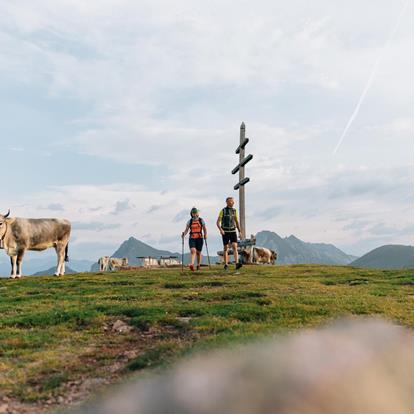 Hiking & Mountaineering in Hafling-Vöran-Meran 2000 in South Tyrol