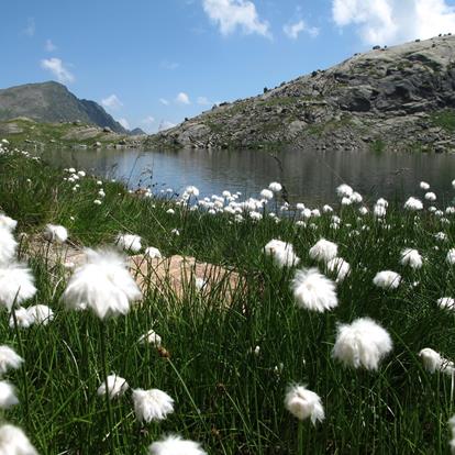 The Spronserseen Lakes near Parcines