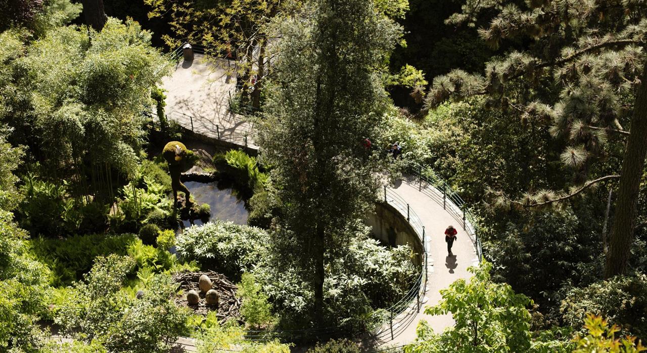 Walks and promenades