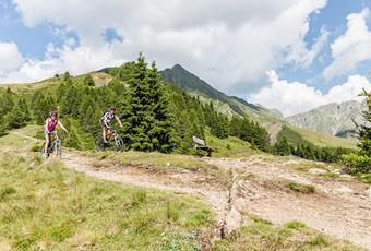 Mountain bike courses and guided tours in Scena