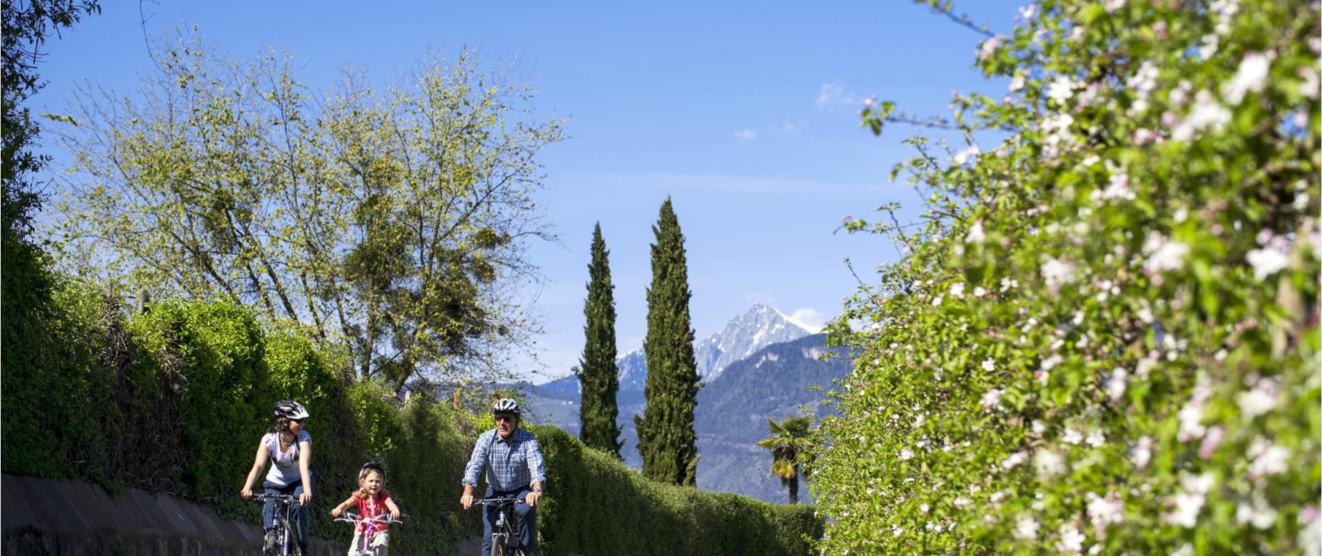 Biking in Marlengo and environs