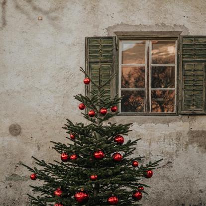 Christmas Tree Upcycling for a Good Cause