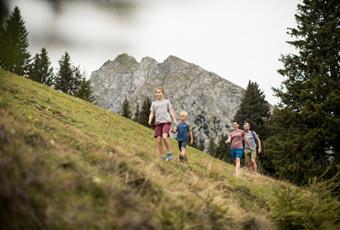 Achtsam am Berg & in der Stadt