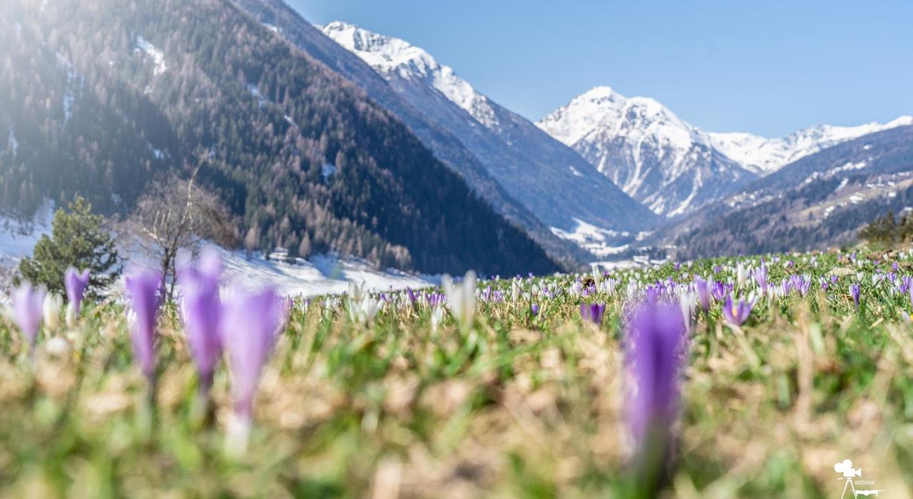 fruehling-watchnow-suedtirol-2-9