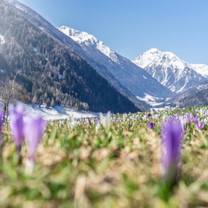 Ultental Valley