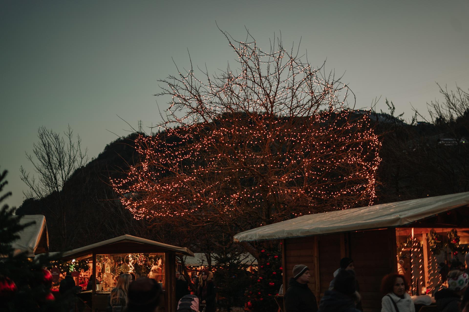 lanaregion-it-franziska-unterholzner-236