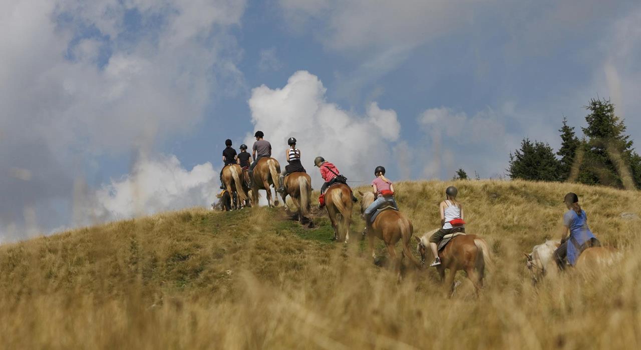 Tour a cavallo ad Avelengo, Verano e Merano 2000