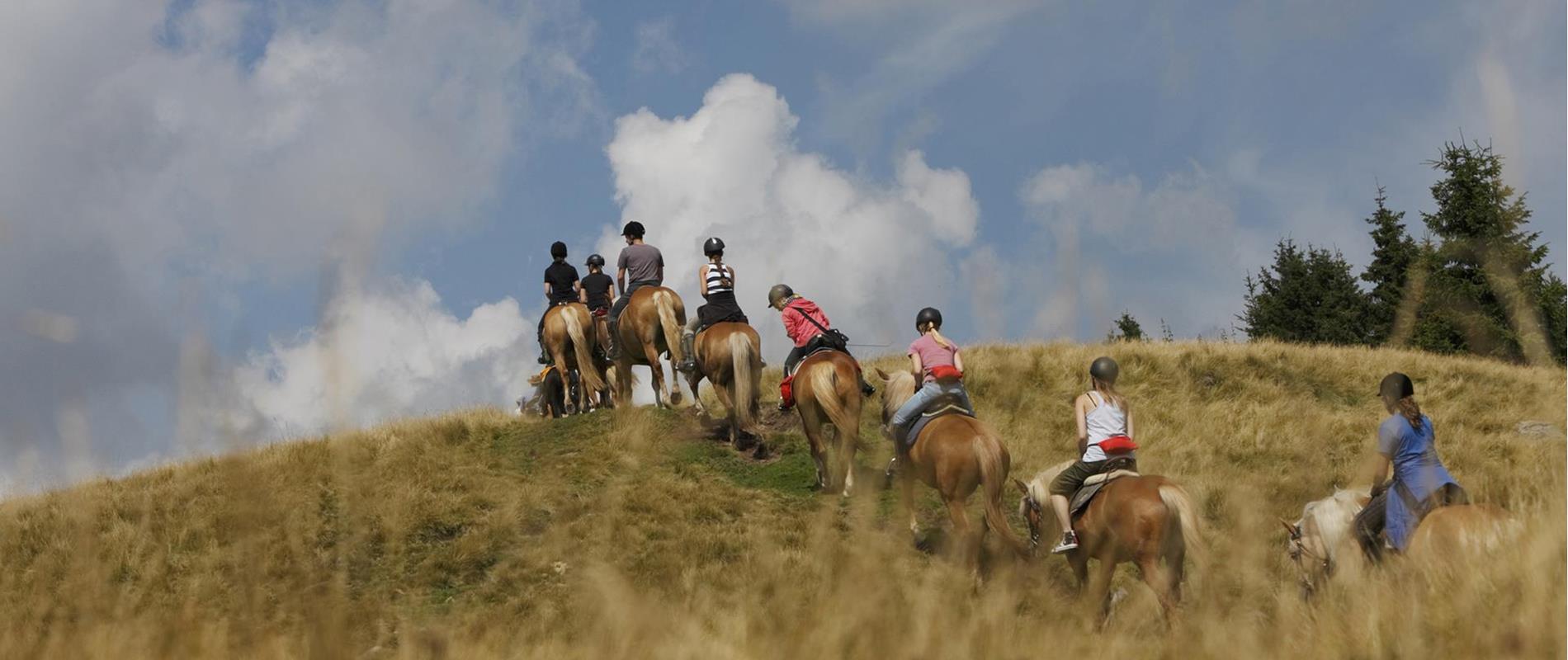 Horse-Riding-Riding-Excursion-with-Haflinger-horses-Avelengo-Verano-Merano2000-fb