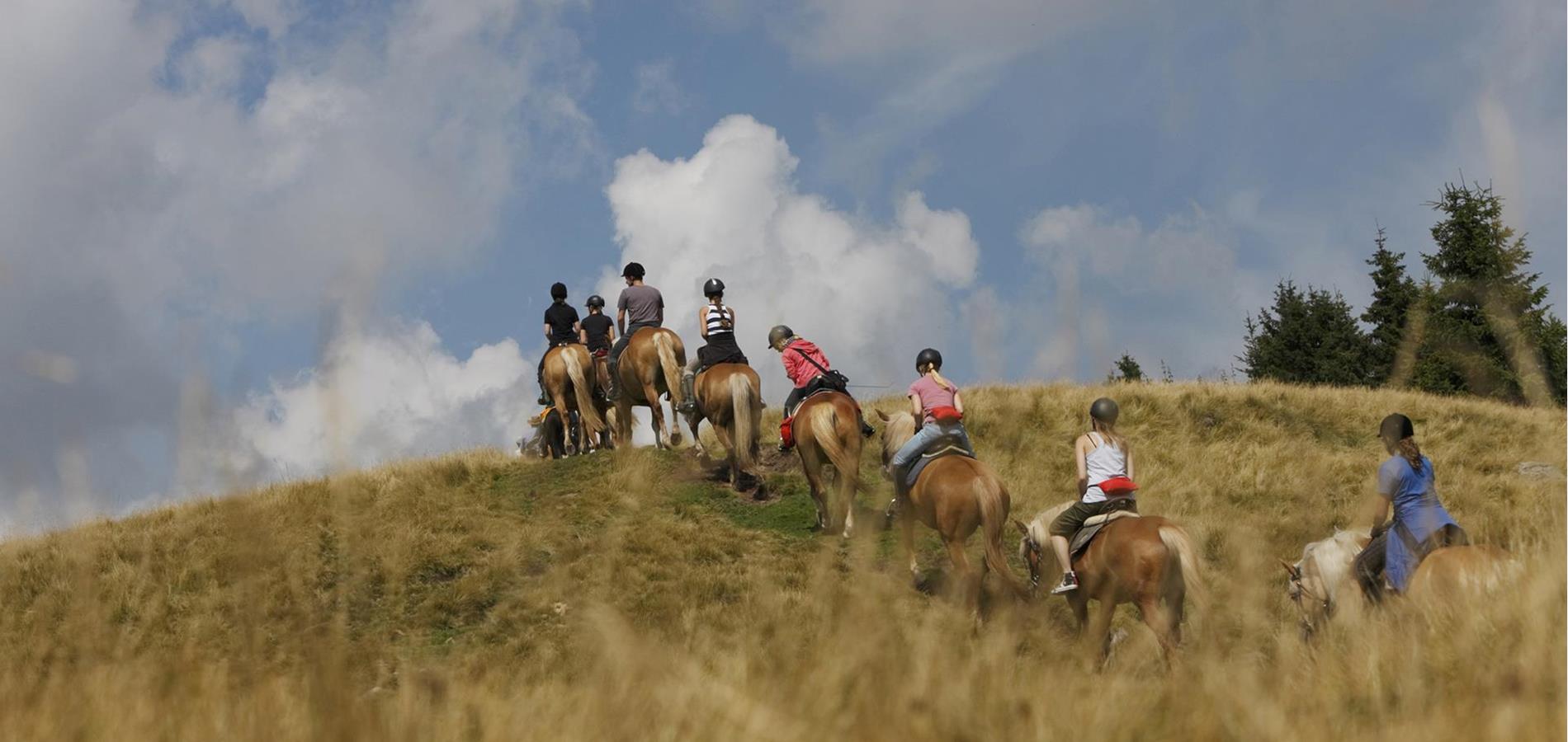 Reiten-Ausritte-mit-Haflinger-Pferden-Hafling-Voeran-Meran2000-fb