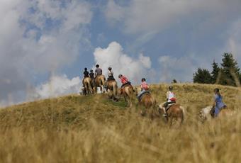 Horse riding excursions at Hafling, Vöran and Meran 2000