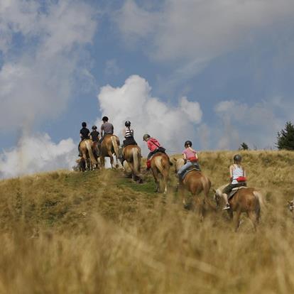 Het aardse geluk zit op de rug van een haflinger