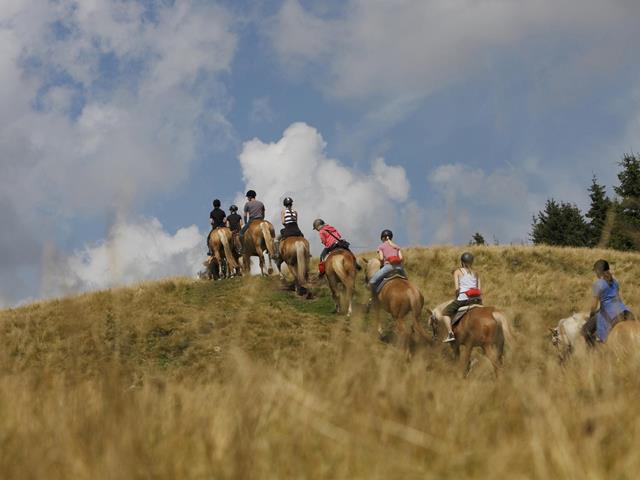 Horse riding excursions at Hafling, Vöran and Meran 2000